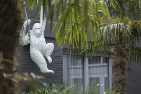 Hotel The Dutch foto 14