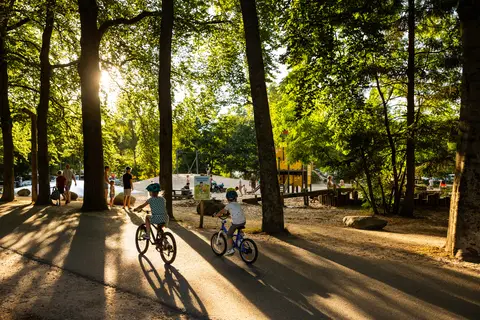 Rcn Het Grote Bos in Doorn — foto 10