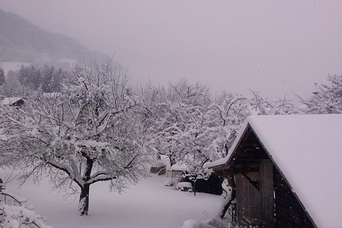 Appartementen Höllwarth foto 21