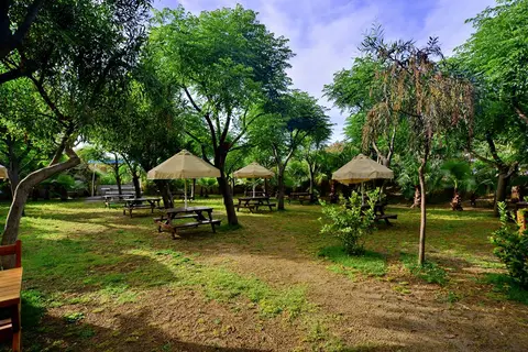Seaden Sea World Resort & SPA in Doğanyurt — foto 7