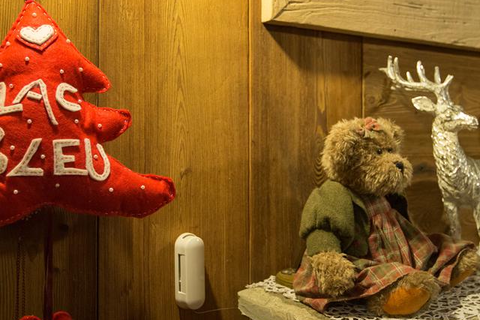 Hotel Lac Bleu foto 3