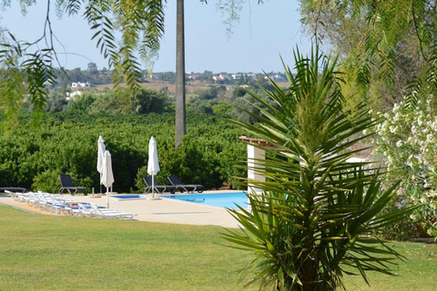 Quinta da Mesquita foto 8