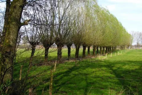 Herberg de Brabantse Kluis foto 30