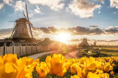 Bloemencruise vanaf Rotterdam foto 5