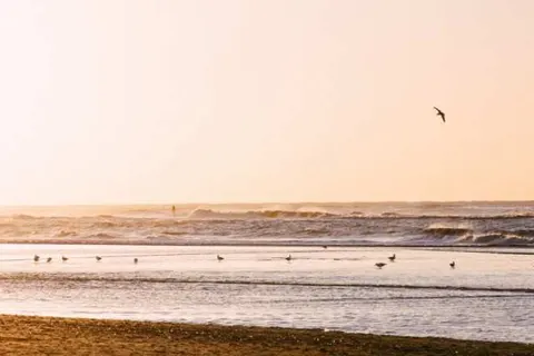 Amsterdam Lake Hotel foto 11