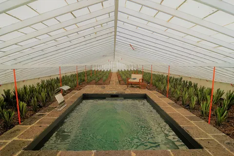 Hotel Herdade do Ananas in Ponta Delgada — foto 6