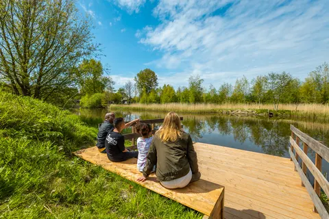 Vakantiepark Molengroet foto 9