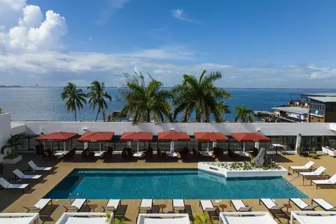 Rok Hotel Kingston Tapestry Collection By Hilton in Kingston — foto 24
