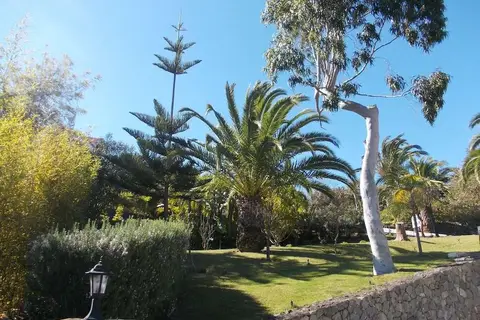 Hotel La Palma Romantica in Barlovento — foto 19