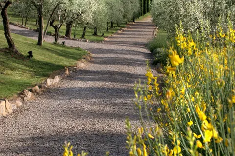 Tenuta Sant'Ilario in Gambassi Terme, foto 19
