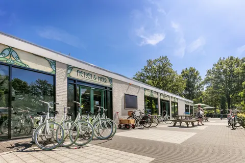 Camping De Bergen foto 10