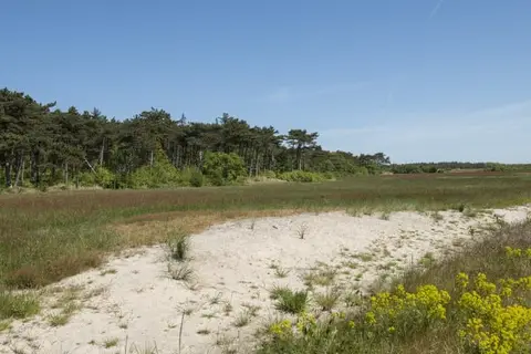Hotel Appartementen Vlierijck in Oost-Vlieland — foto 26