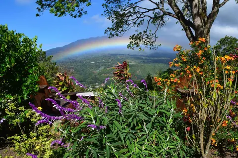 Perfect Match Costa Rica & Panama in Al Alma — foto 5