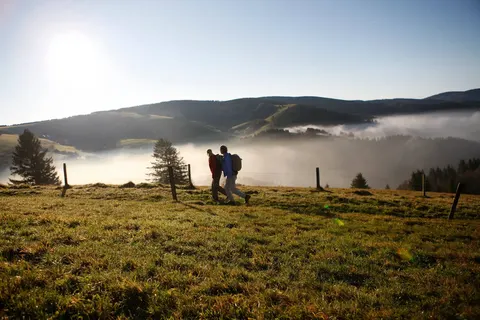 Hotel-Gasthof Rappen in Baiersbronn — foto 13
