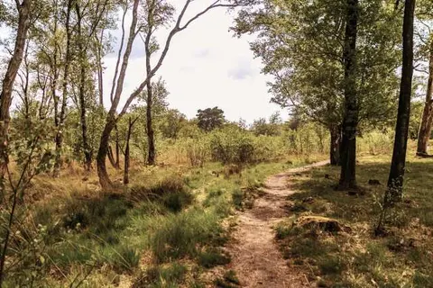 Park De Zeegser Duinen foto 9
