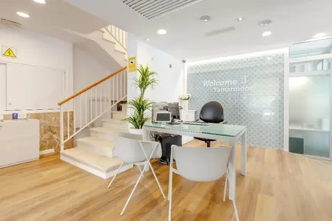 Ferrer Lime Tamarindos in Alcúdia — foto 10