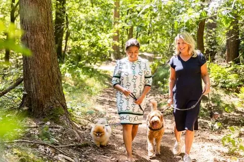 Vakantiepark Molenvelden foto 25