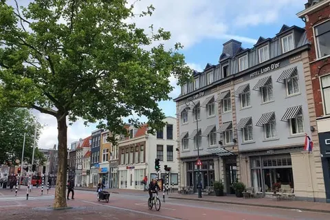 Hotel Lion d&ampapos;Or foto 4