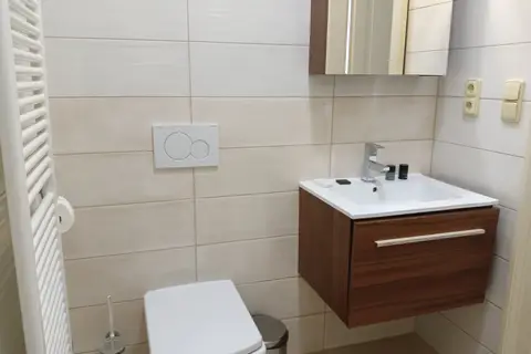 Alveo Suites in Praag, foto 9