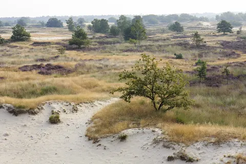 Vakantiepark Kaatsheuvel foto 22