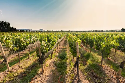 Beautiful Chile and Easter Island foto 4