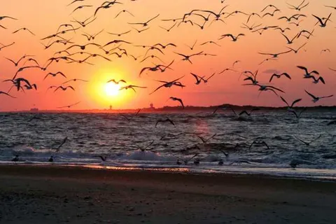 Hotel Bloemfontein foto 18