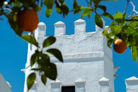 Cortijo Torre de la Reina in Guillena — foto 23