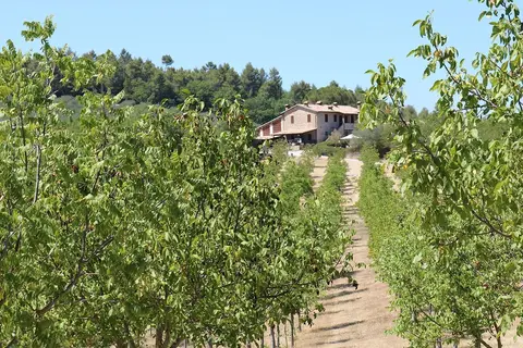 Camping Pian Di Boccio in Bevagna — foto 18