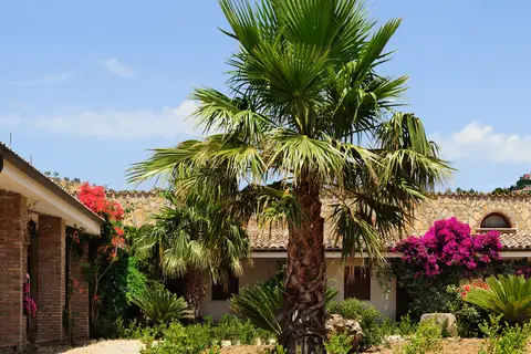 Villa Dafne in Alia — foto 24