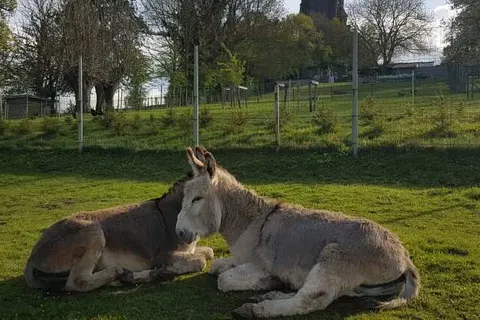 Hotel Cuba Libre foto 16