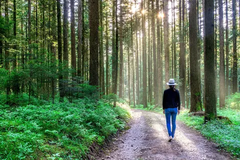 Hotel-Gasthof Rappen in Baiersbronn — foto 22