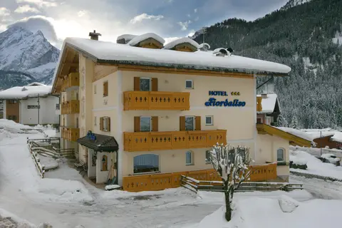 Hotel Fiordaliso in Canazei - Cianacei