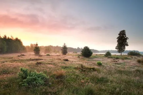 De Bonte Wever foto 45