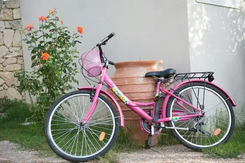 Petrino Eco-Village in Afytos, foto 19