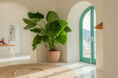 Miramare Sea Resort & Spa in Sant Angelo — foto 20
