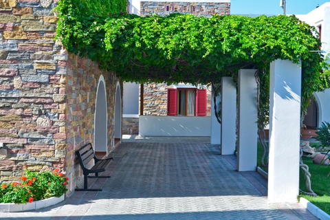 Naxos Resort Beach Hotel foto 4