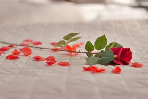 Wellness Suite Utrecht foto 12