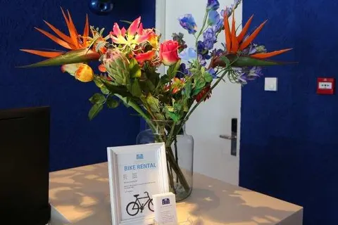 Blue Mansion Hotel foto 10