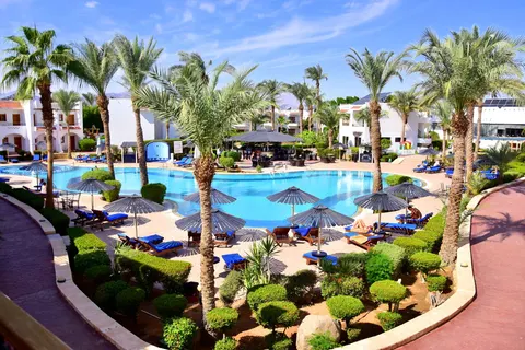 Dive Inn in Sharm El Sheikh — foto 4