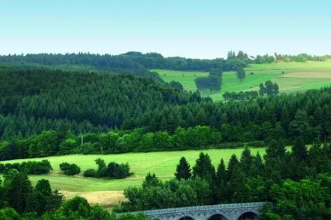 City Hotel Stolberg foto 17