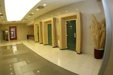 Olympik Artemis Hotel in Praag, foto 10