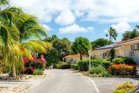 Padelreis Livingstone Curaçao in Jan Thiel, foto 16