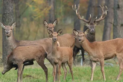 Hotel De Hoeve van Nunspeet foto 29