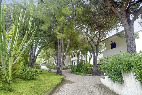 Pineta Petto Bianco in Ricadi, foto 15