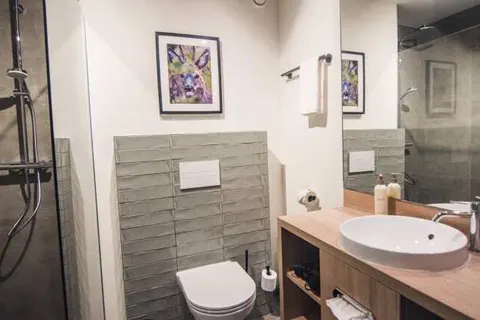 Witte Berken Natuurhotel foto 5