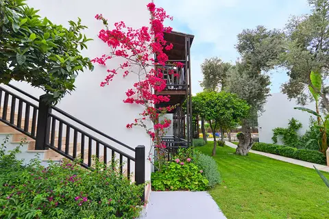 Bitez Garden Life in Bodrum, foto 12