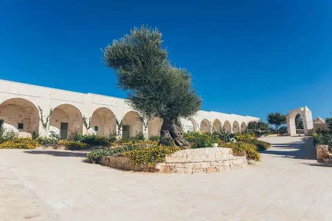 Masseria Grieco in Ostuni — foto 23