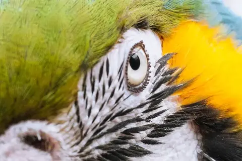 Discover the Nature of Brazil in Rio de Janeiro — foto 6