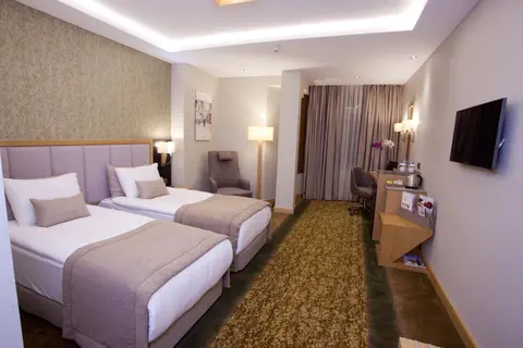 The Parma Hotel Taksim in Beyoğlu, foto 29
