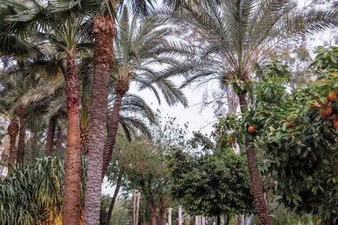 Es Saadi Marrakech Resort - The Palace in Marrakesh, foto 10